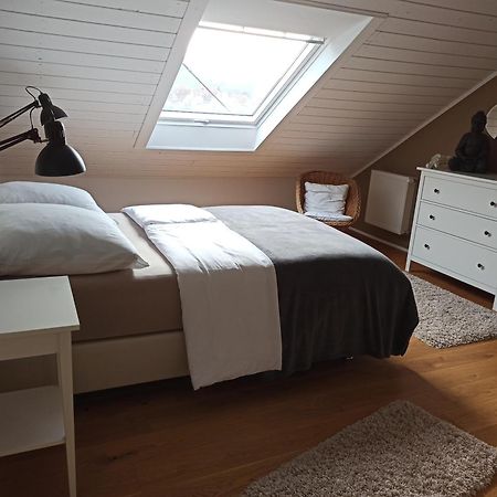 By Vollmer'S Komfortabel Und Chic Apartment Offenburg Ngoại thất bức ảnh